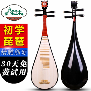 琵琶民族乐器